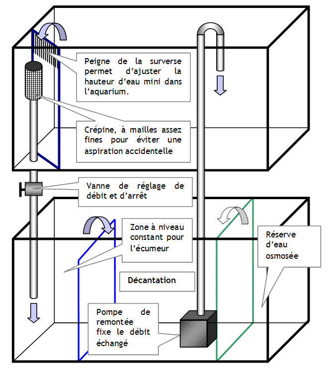 Schéma d'aquarium avec décantation