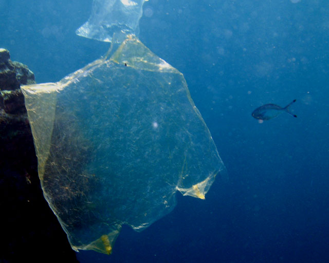  Sacs en plastique