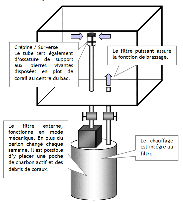 Schéma de nano-récif